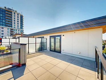 Aerial View of 3930 Dumfries Street, Vancouver, BC