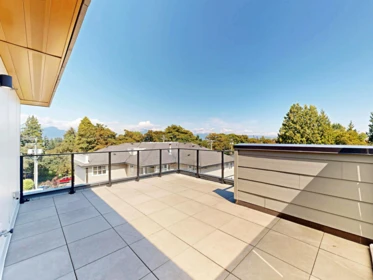 Backyard Photo of 3930 Dumfries Street, Vancouver, BC