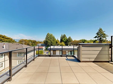 Hot Tub / Spa Photo of 3930 Dumfries Street, Vancouver, BC