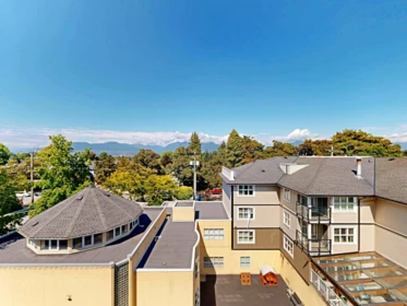 Street View Photo of 3930 Dumfries Street, Vancouver, BC