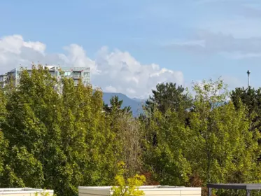 Front Yard Photo of 502 120 Milross Avenue, Vancouver, BC