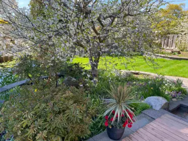 Outdoor Kitchen Photo of 5508 Cedardale Court, Burnaby, BC