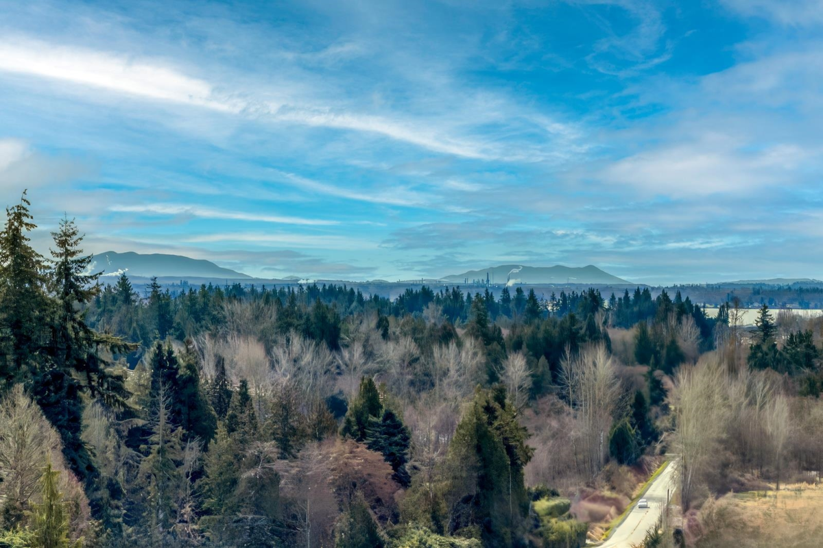 Living Room Photo of 16790 17 Avenue, Surrey, BC