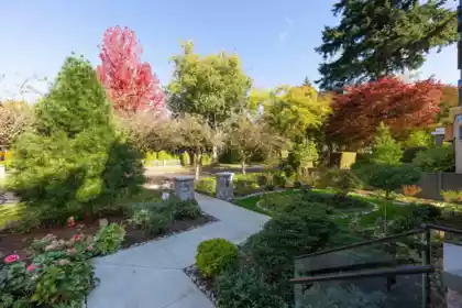 Neighborhood Park Photo Near 3792 W 34th Avenue, Vancouver, BC
