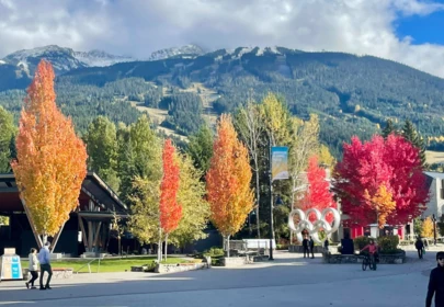 302 4338 Main Street, Whistler, BC, Whistler Village — 2 bed apartment/condo for sale