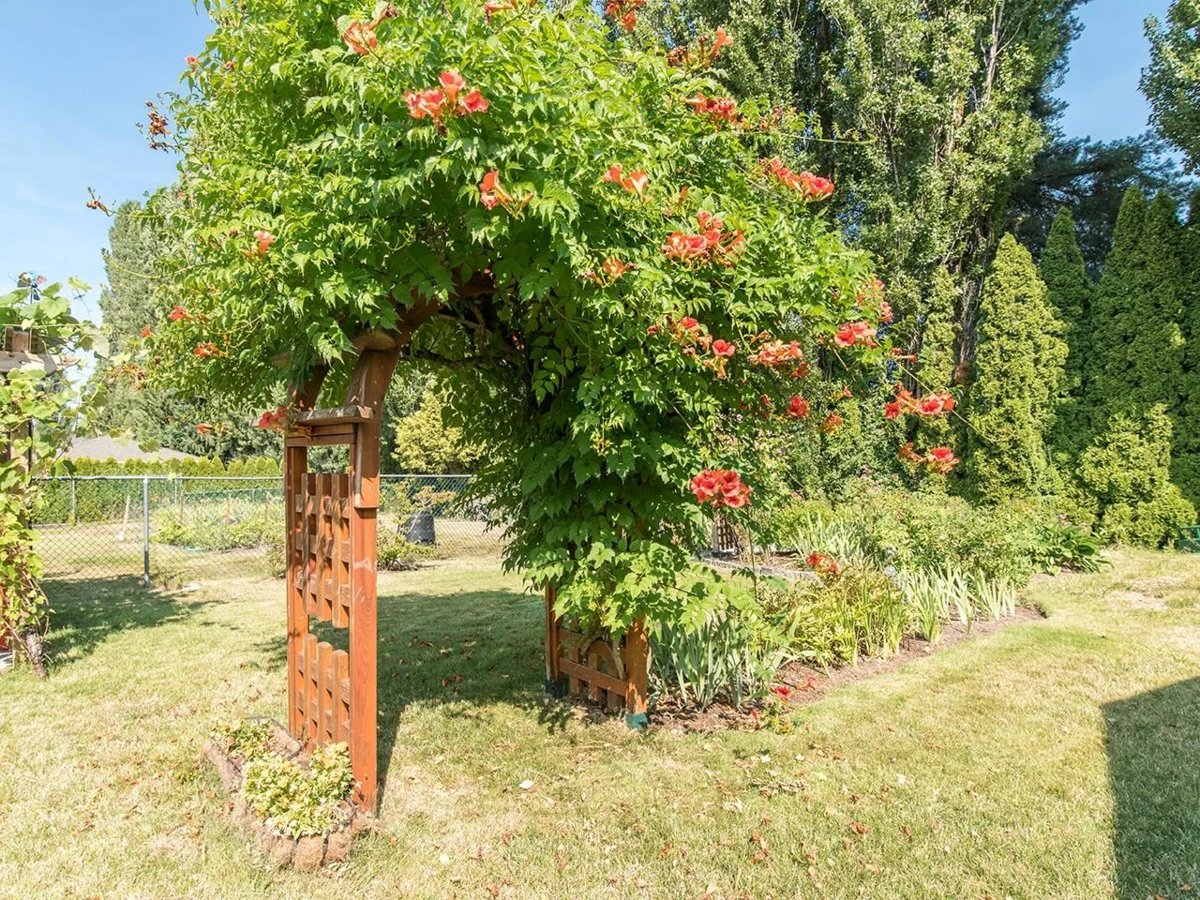 Outdoor Kitchen Photo of 21687 48a Avenue, Langley, BC