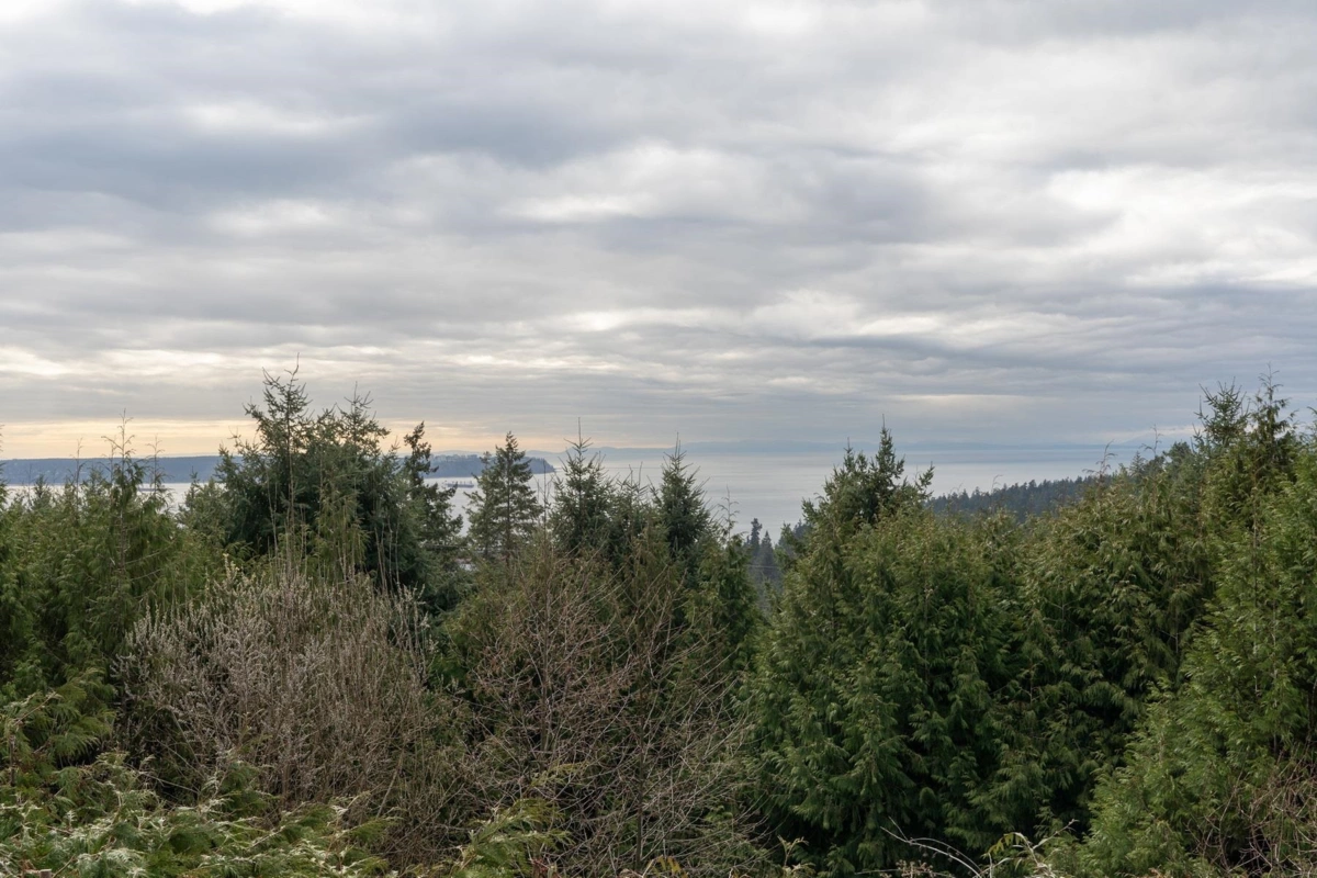 Aerial View of 4582 Woodgreen Court, West Vancouver, BC