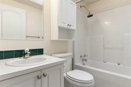 Powder Room Photo of 14 62790 Flood Hope Road, Hope, BC