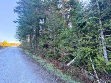 Kitchen Photo of BLOCK C Lockyer Road, Roberts Creek, BC