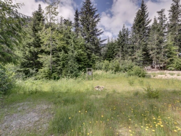 Aerial View of 46880 Sakwi Creek Road, Mission, BC