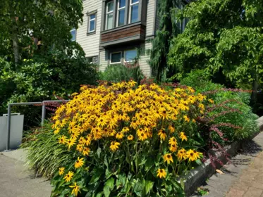 Hot Tub / Spa Photo of 208 188 W 29 Street, North Vancouver, BC