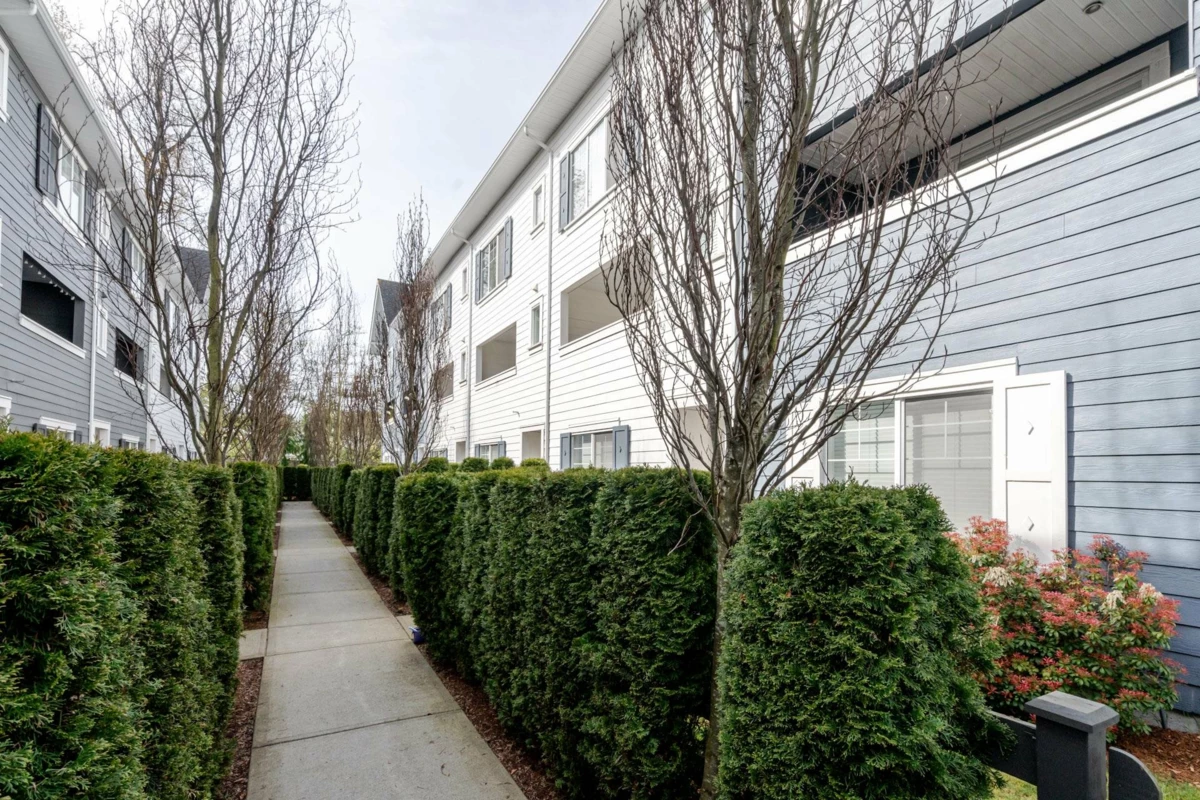 Exterior Rear Photo of 60 158 171 Street, White Rock, BC