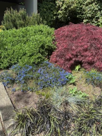 Garden / Landscaping Photo of 602 505 Lonsdale Avenue, North Vancouver, BC