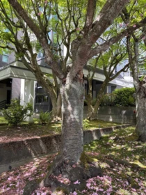Hot Tub / Spa Photo of 602 505 Lonsdale Avenue, North Vancouver, BC