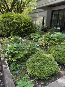 Swimming Pool Photo of 602 505 Lonsdale Avenue, North Vancouver, BC