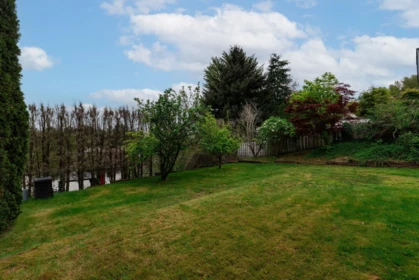 Neighborhood Park Photo Near 2847 Glenshiel Drive, Abbotsford, BC