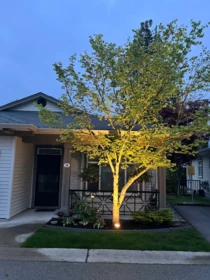 Backyard Photo of 16 15188 62a Avenue, Surrey, BC