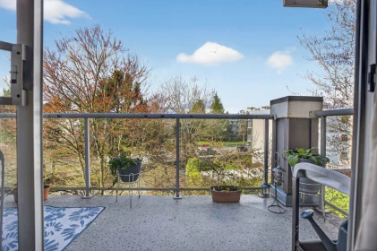 Kitchen Photo of 314 20177 54a Avenue, Langley, BC