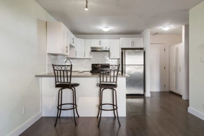 Kitchen Photo of 204 1209 Howie Avenue, Coquitlam, BC