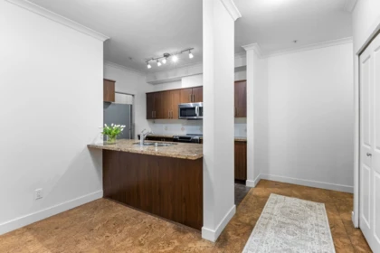 Walk-In Closet Photo of 102 3250 St Johns Street, Port Moody, BC