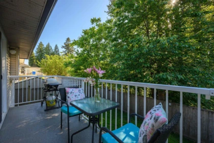 Aerial View of 7855 Cedar Street, Mission, BC