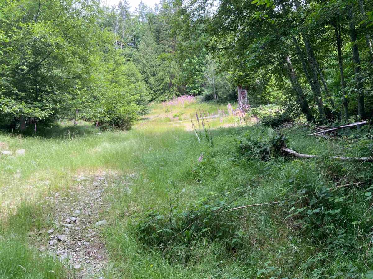 Exterior Rear Photo of LOT H Cotton Bay Road, Gambier Island, BC
