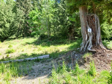 Breakfast Nook Photo of LOT H Cotton Bay Road, Gambier Island, BC