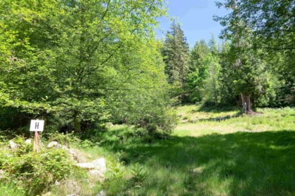 Outdoor Deck Photo of LOT H Cotton Bay Road, Gambier Island, BC