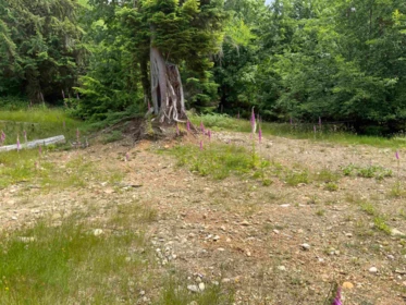 Pantry Photo of LOT H Cotton Bay Road, Gambier Island, BC
