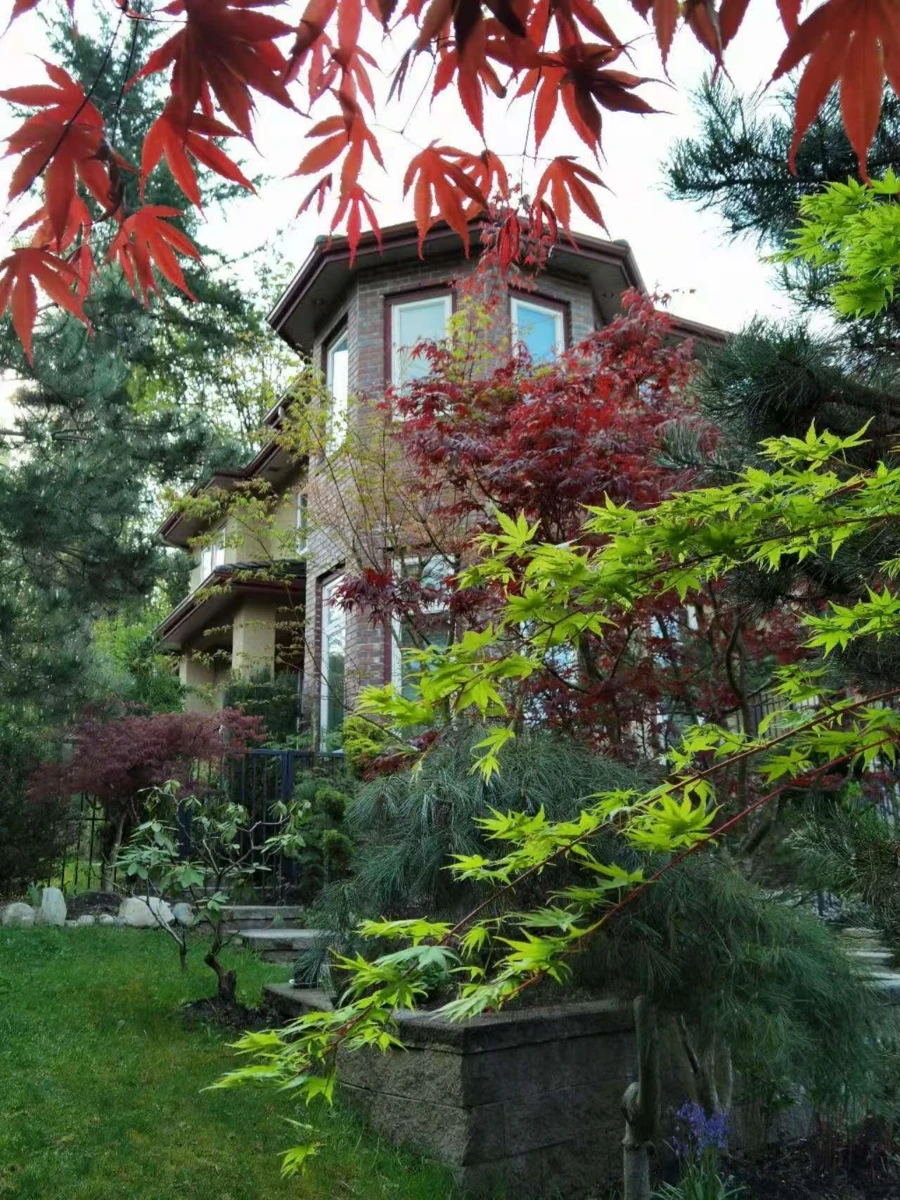 Exterior Rear Photo of 2406 Norcrest Court, Burnaby, BC