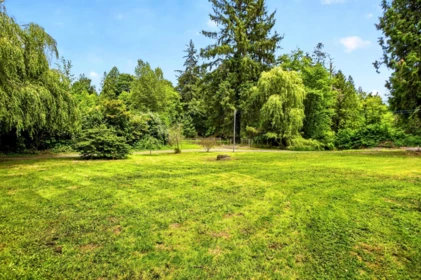 Outdoor Kitchen Photo of 28203 Lougheed Highway, Maple Ridge, BC