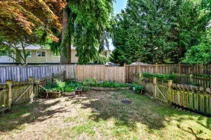 Outdoor Patio Photo of 56 12677 63 Avenue, Surrey, BC