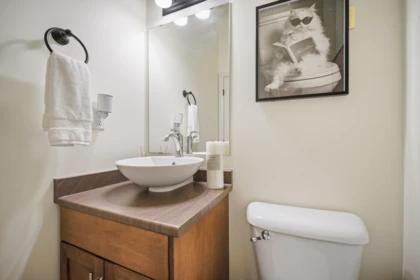 Powder Room Photo of 18 45390 Vedder Mountain Road, Cultus Lake, BC