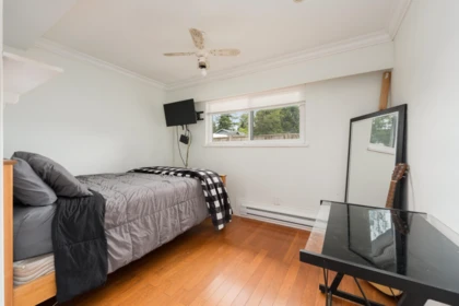 Basement Recreation Room Photo of 22702 123 Avenue, Maple Ridge, BC