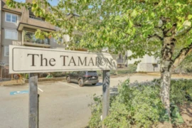 419 12083 92a Avenue, Surrey, BC