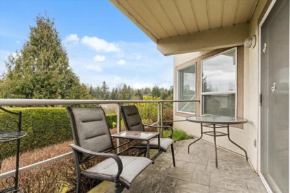 Backyard Photo of 11 3354 Horn Street, Abbotsford, BC