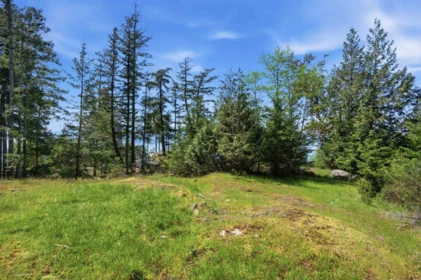 Kitchen Island Photo of Lot 23 Sakinaw Drive, Garden Bay, BC