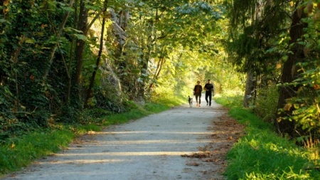 Neighborhood Park Photo Near 8547 Seascape Court, West Vancouver, BC