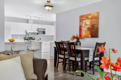 Kitchen Photo of 105 1219 Johnson Street, Coquitlam, BC