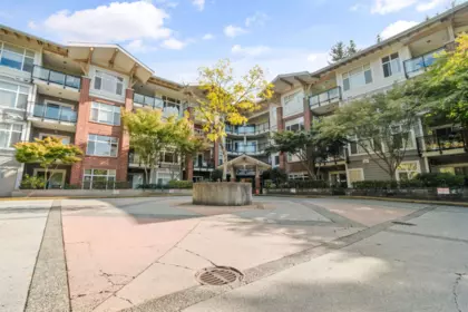 204 11950 Harris Road, Pitt Meadows, BC, Pitt Meadows — Apartment/Condo for sale