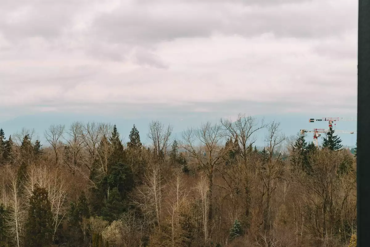 Hallway Photo of 602 19979 76 Avenue, Langley, BC
