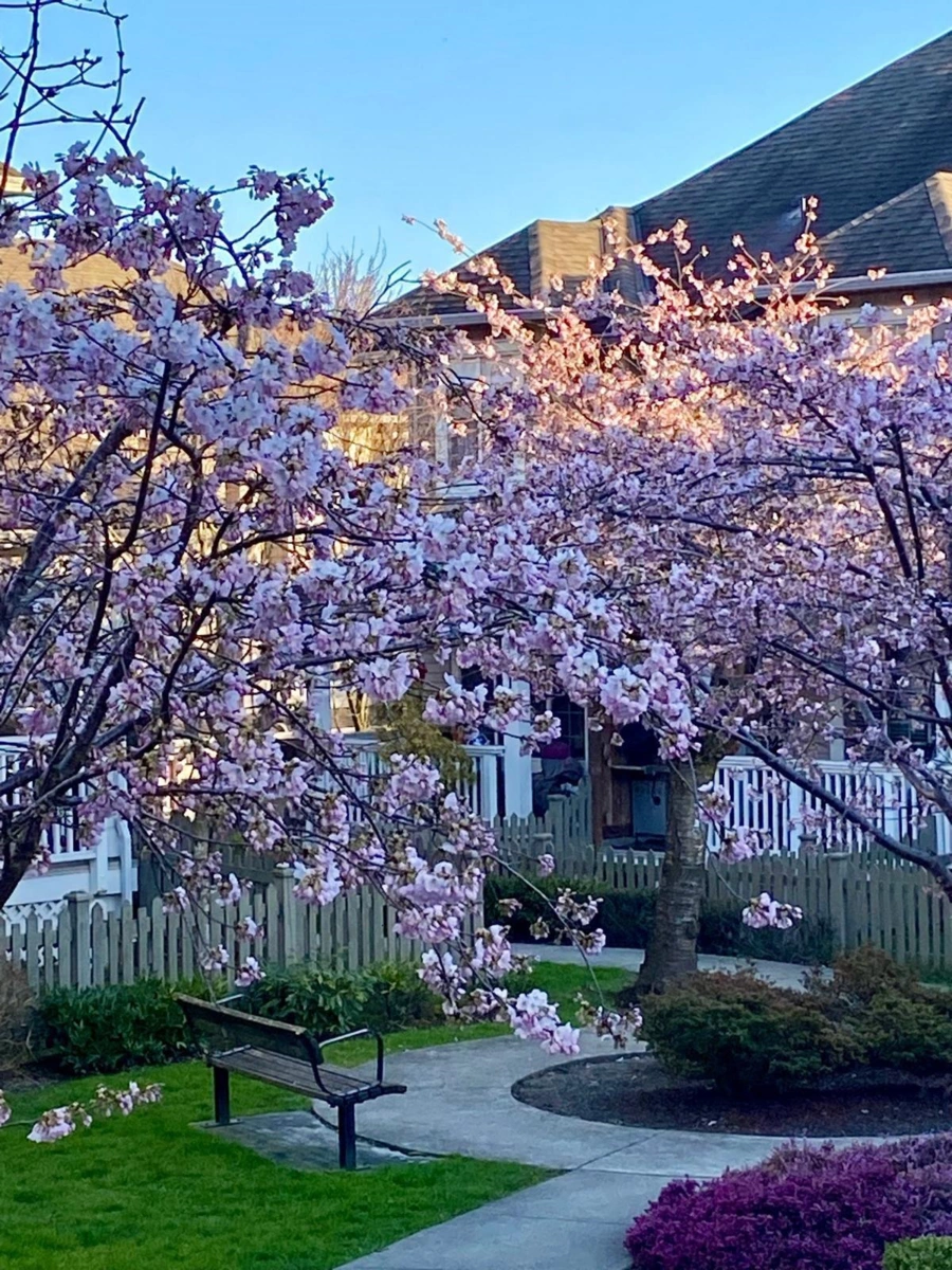 Entry Foyer Photo of 18 6852 193 Street, Surrey, BC