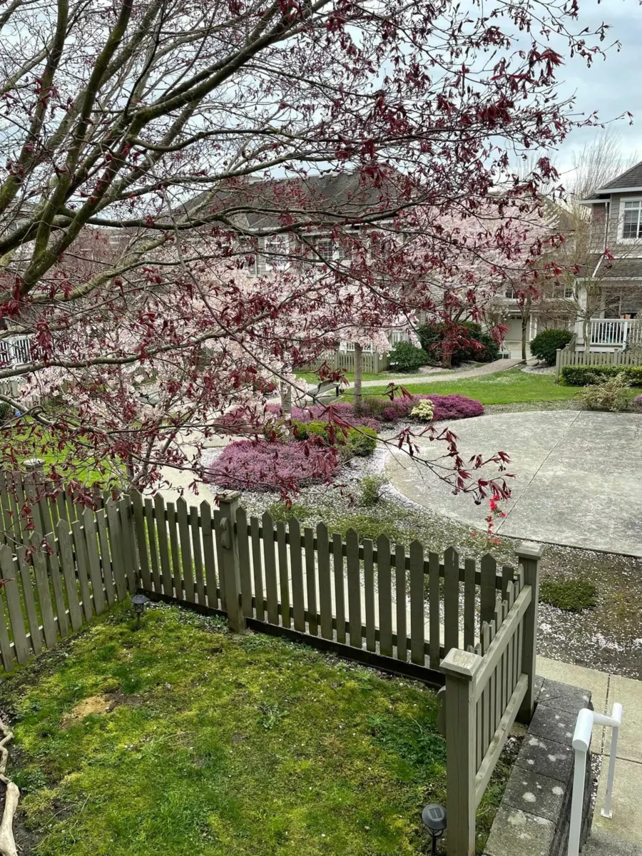 Mudroom Photo of 18 6852 193 Street, Surrey, BC