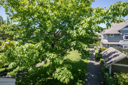 Backyard Photo of 64 6300 London Road, Richmond, BC