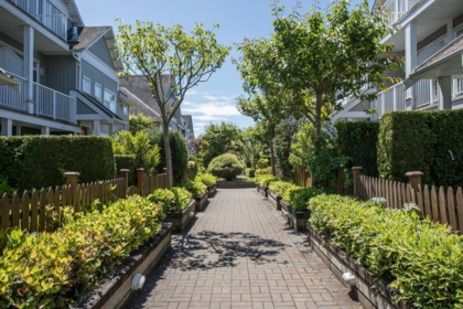 Garden / Landscaping Photo of 64 6300 London Road, Richmond, BC