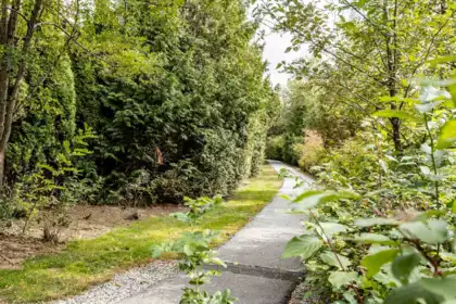 Staircase Photo of 6 6828 208a Street, Langley, BC