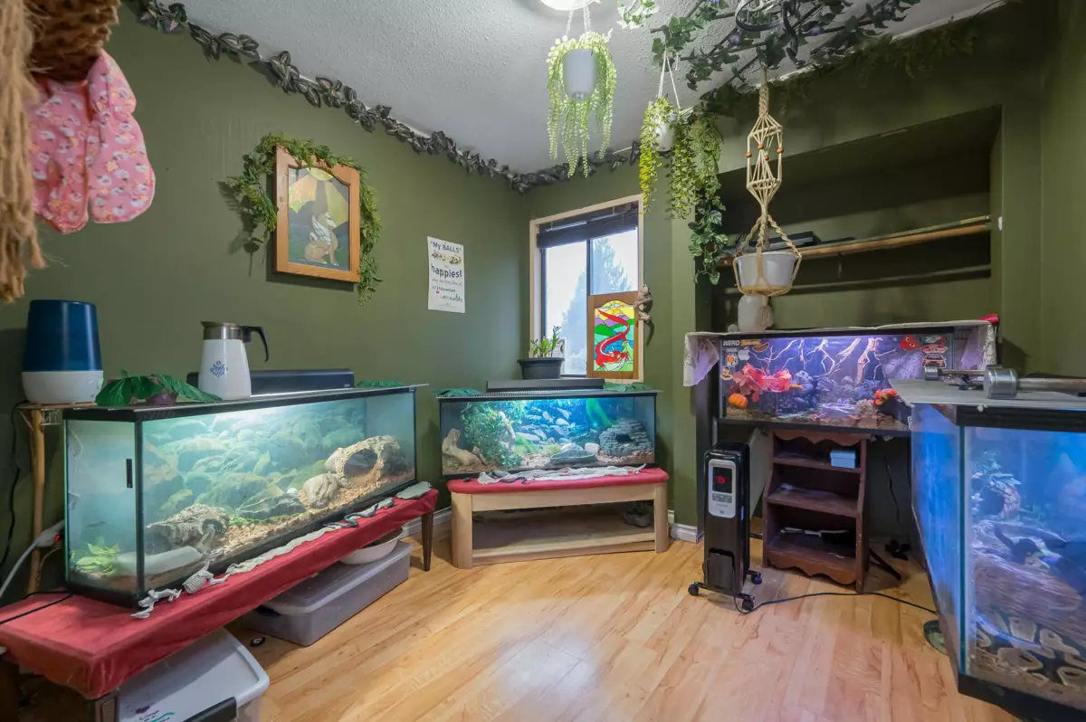 Backyard Photo of 32472 Grebe Crescent, Mission, BC