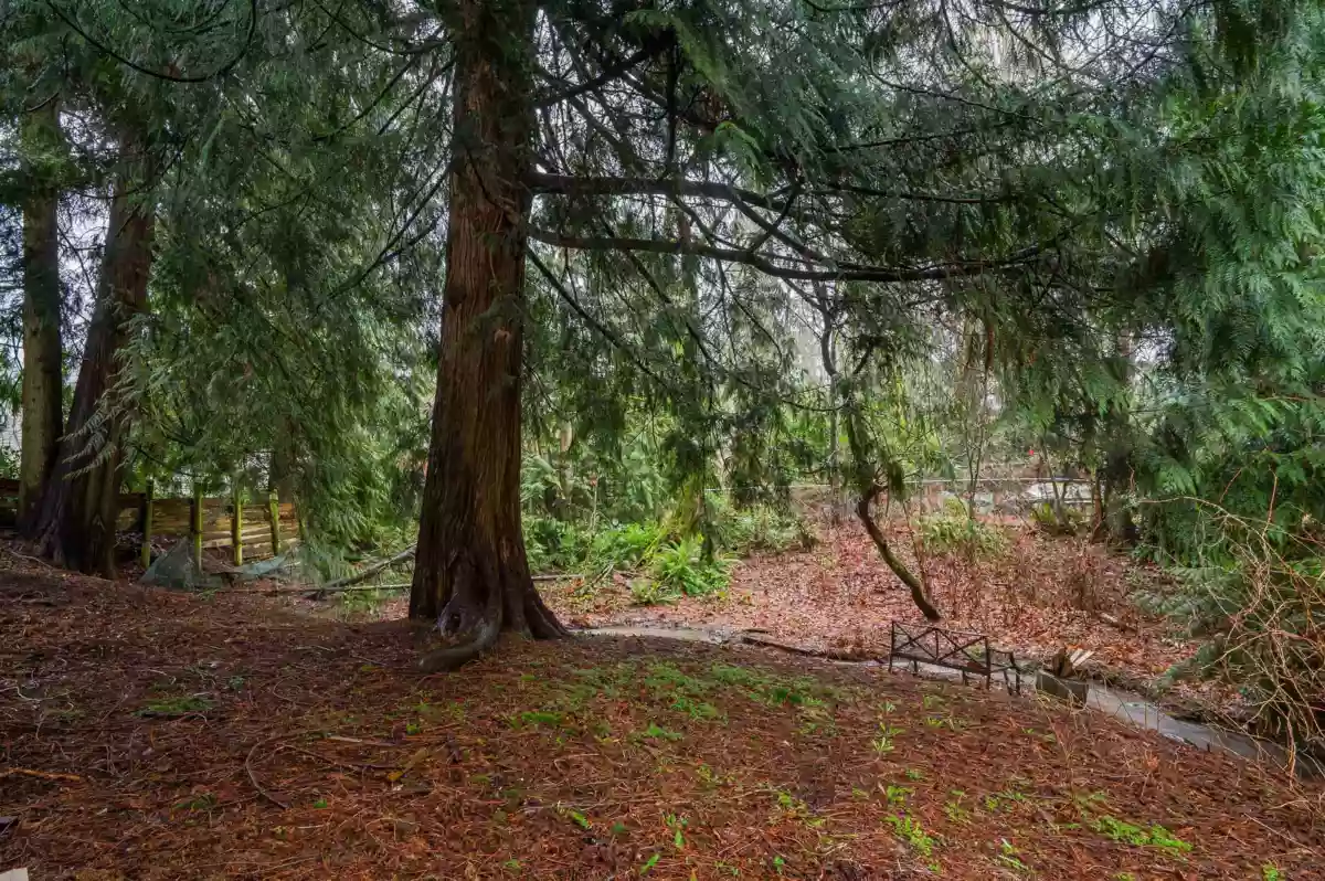 Community Amenities Photo (Clubhouse) of 32472 Grebe Crescent, Mission, BC