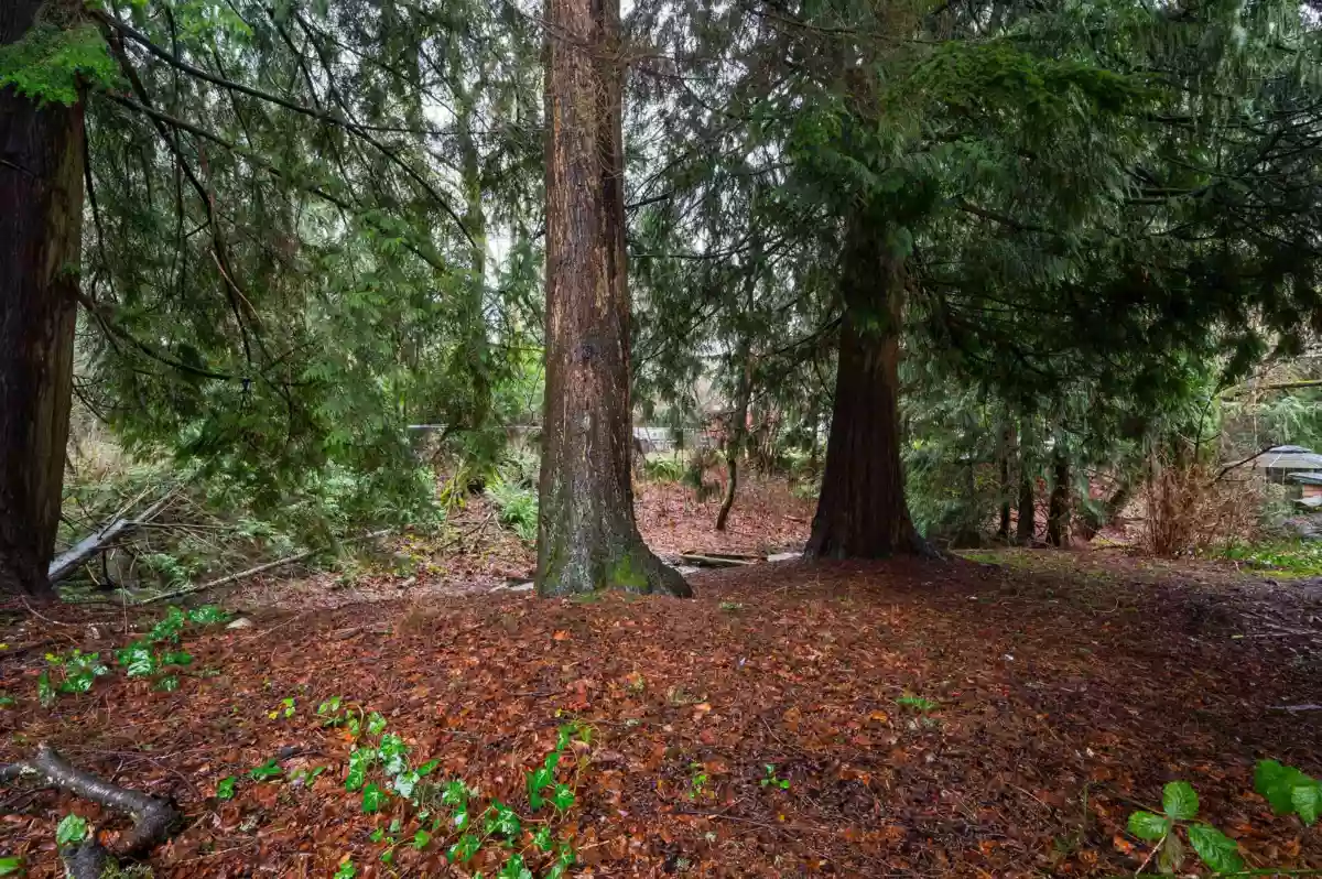 Neighborhood Park Photo Near 32472 Grebe Crescent, Mission, BC