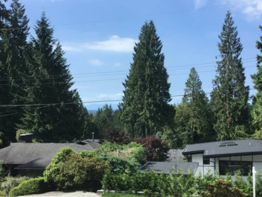 528 Greenway Avenue, North Vancouver, BC, North Vancouver — Single Family Residence for sale